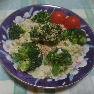 白菜とブロコッリーのツナサラダ